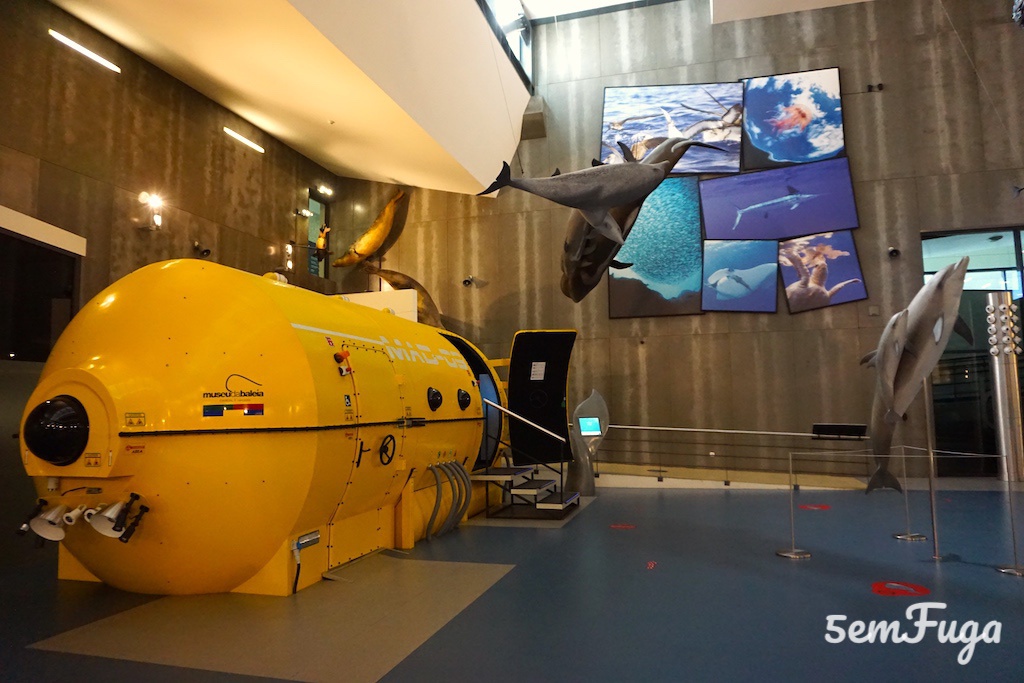 submarino no museu da baleia